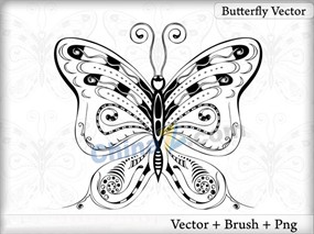 精致蝴蝶纹身矢量图案